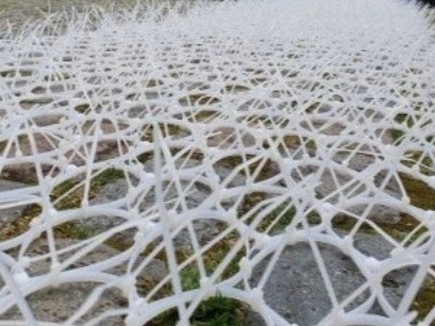 Activiteit 2025 05 Banden smeden 1