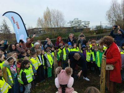 Vredeseik in Kortrijk